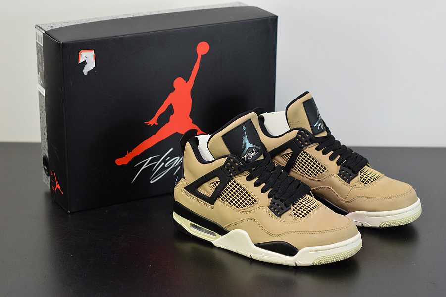 aj4 fossil